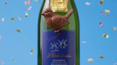 Charger la vidéo : 